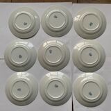 Set of 9 Iron Earth plates