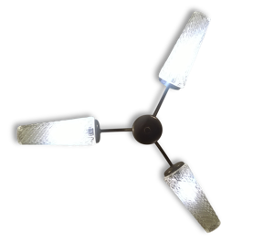 Lustre sagaies année