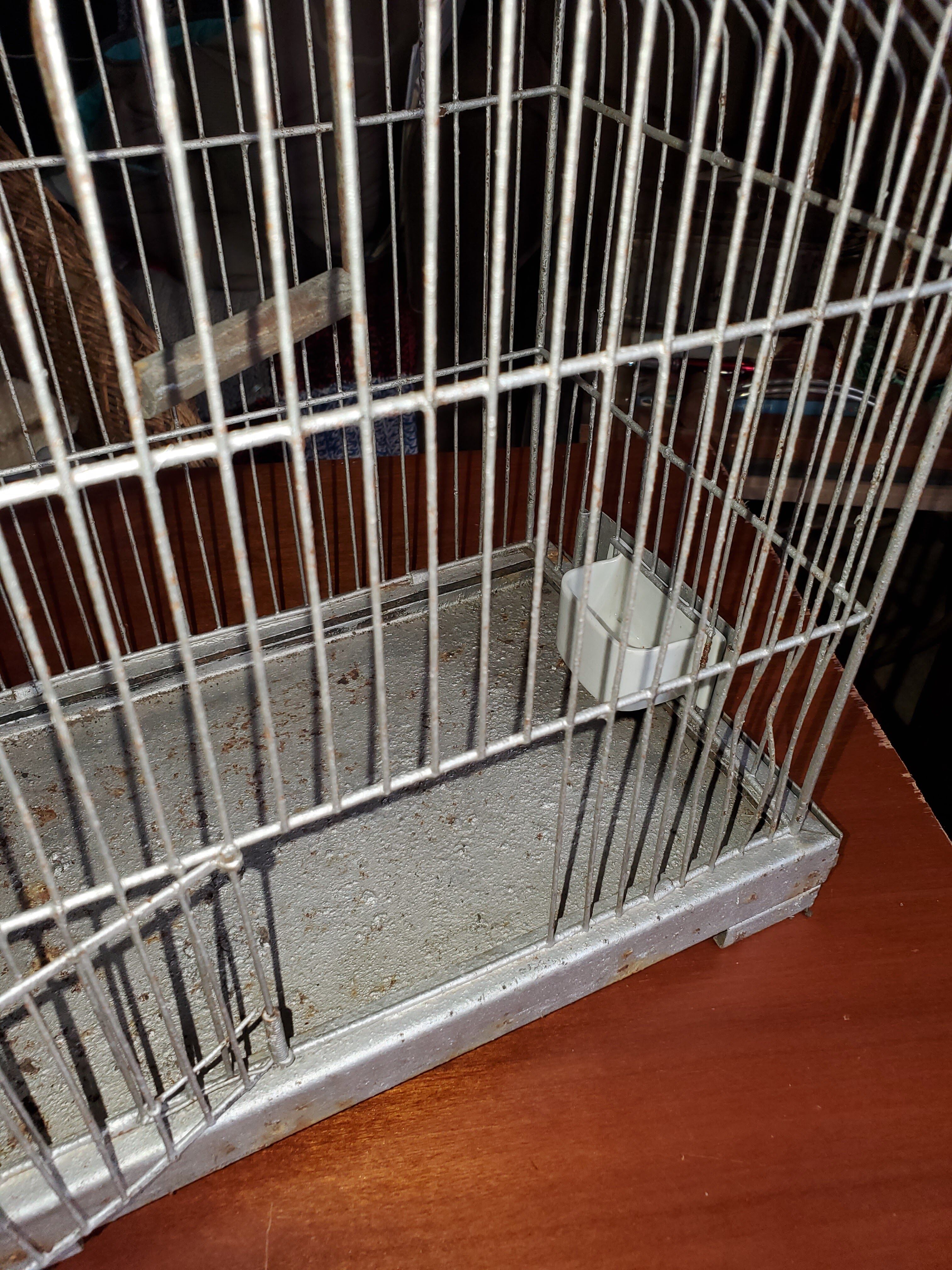 Cage à oiseau