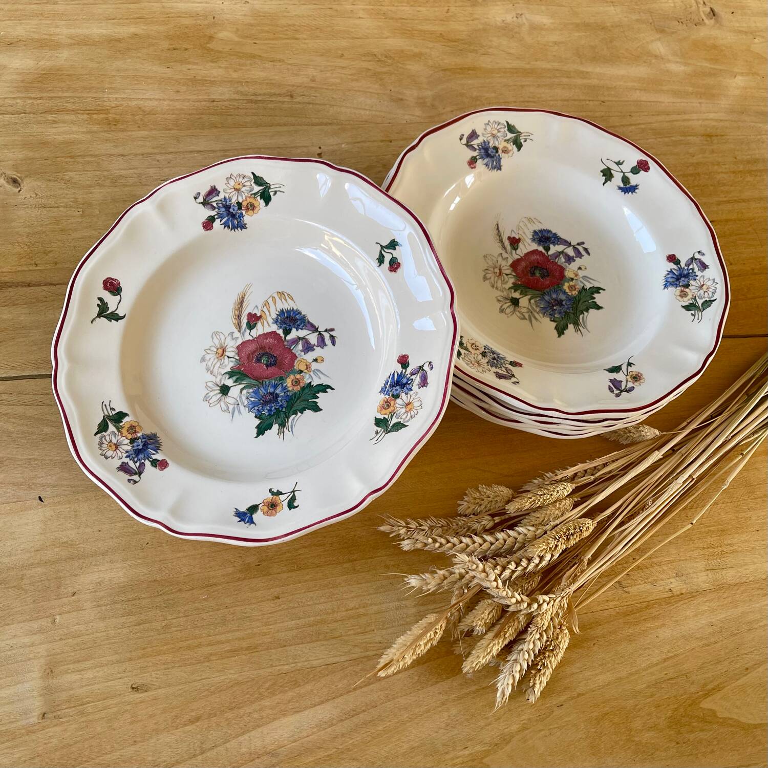 Set of 6 Sarreguemines Agreste plates