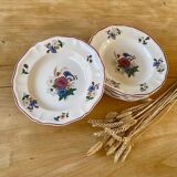 Set of 6 Sarreguemines Agreste plates