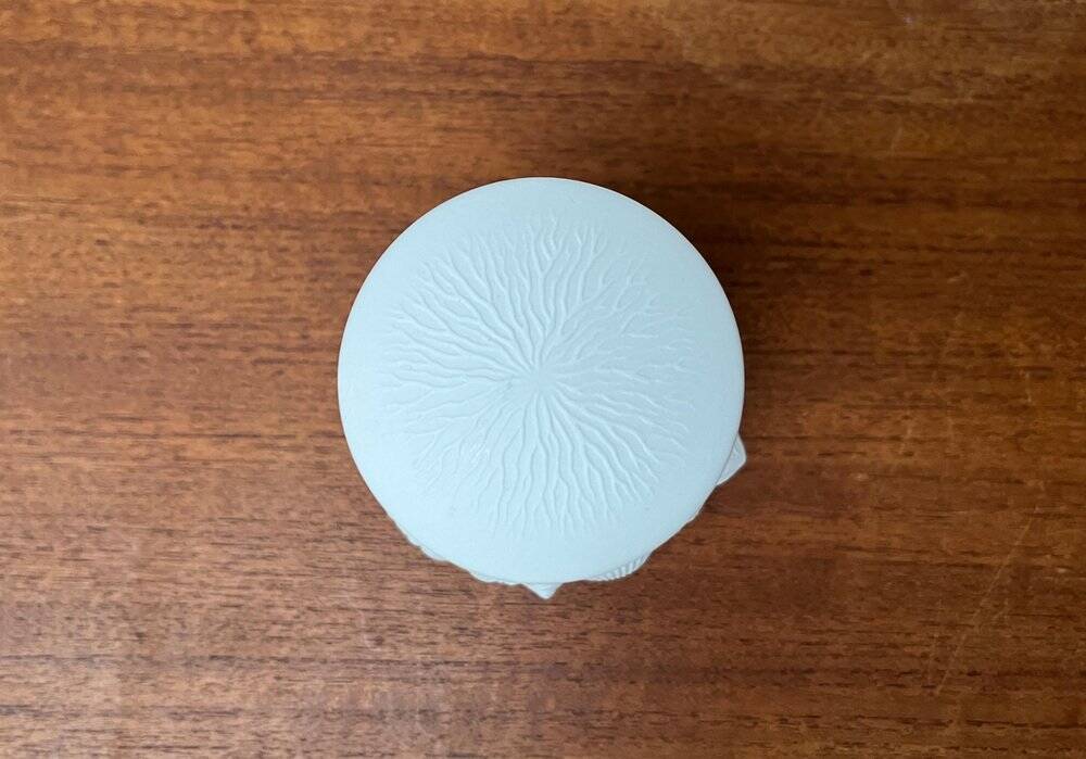 German mid-century white porcelain box with lid and shell motif by Kaiser, 1960s.