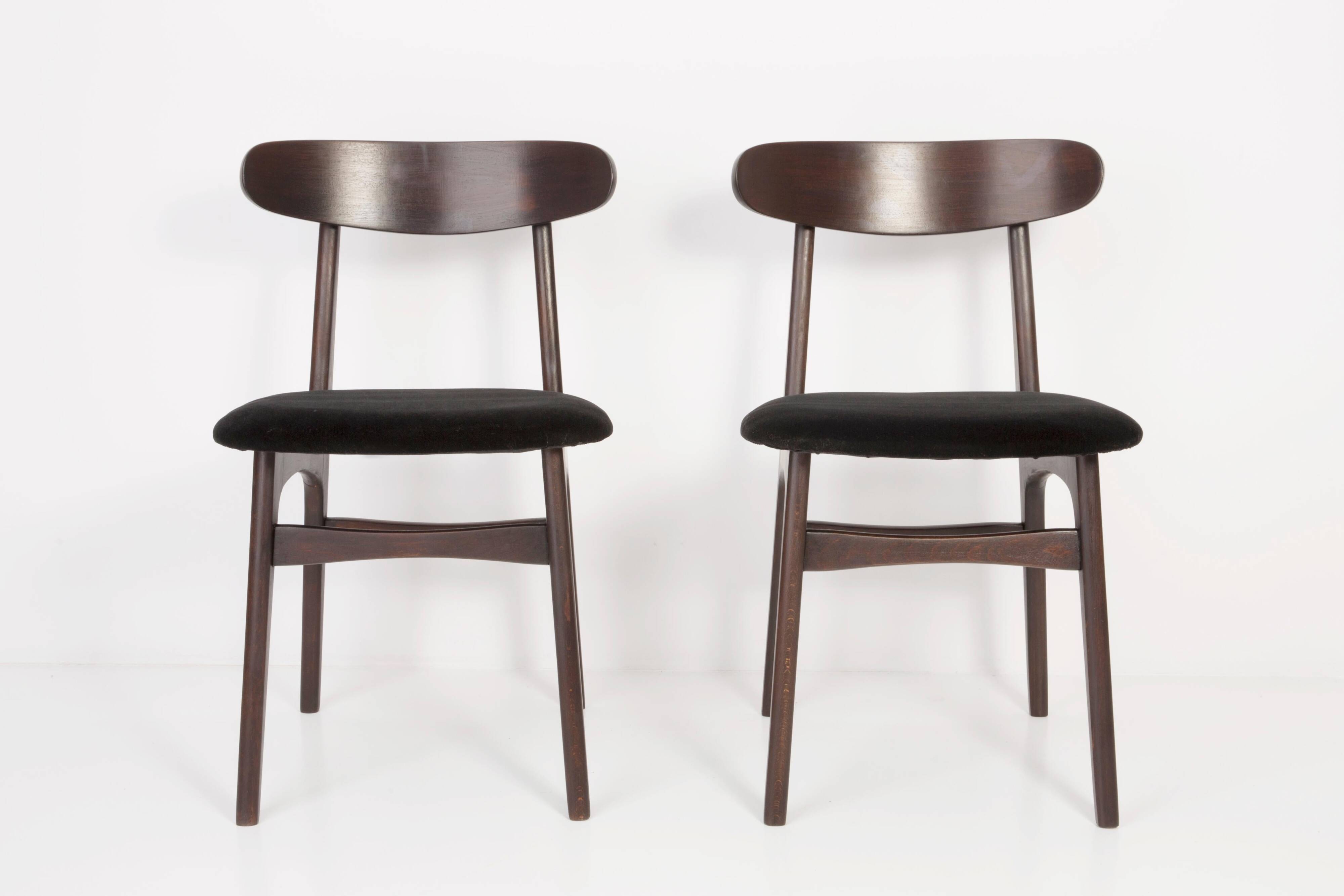 Black velvet armchair mid-century by Rajmund Halas, Poland, 1960.