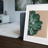 Illustration "Succulent #1" par Noums Atelier
