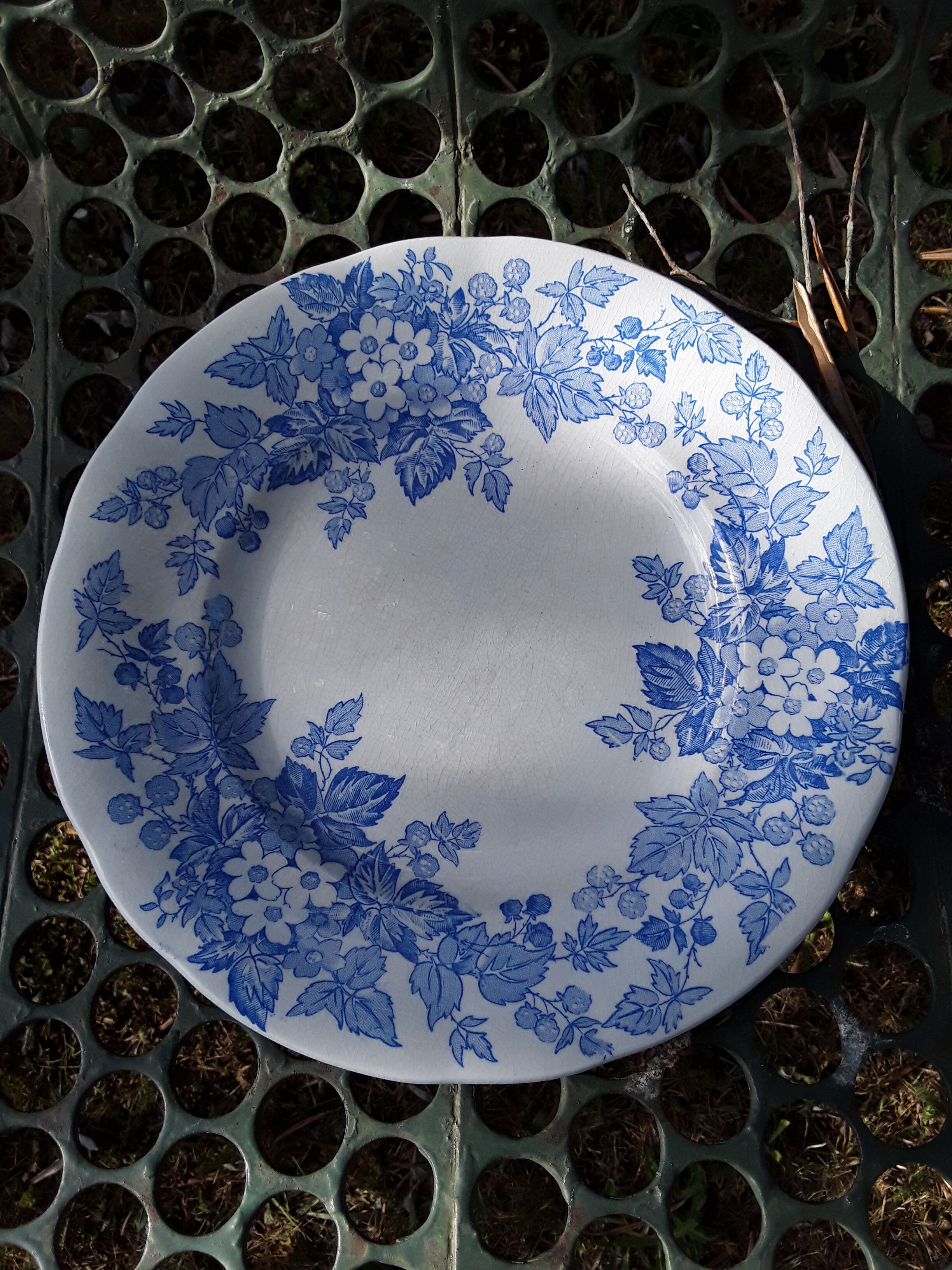 6 plates Sarreguemines Iron Land