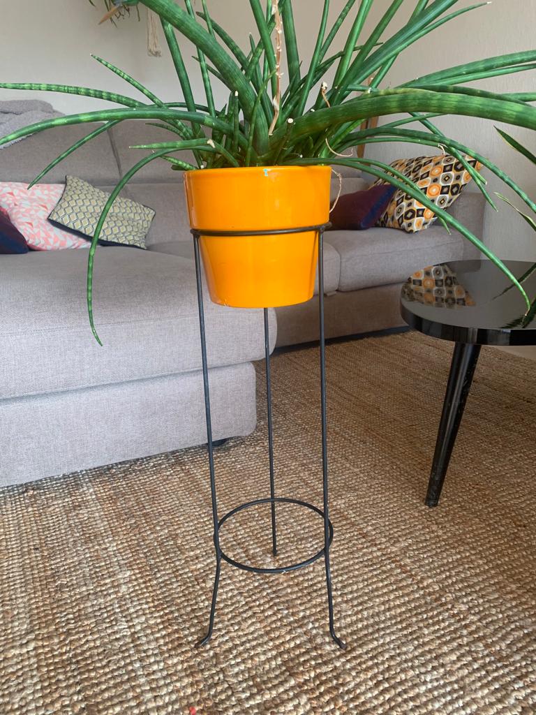 Porte plante
