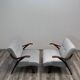 Set de 2 fauteuils