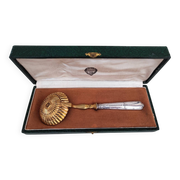 Cuillère à tamiser le sucre en argent et argent doré