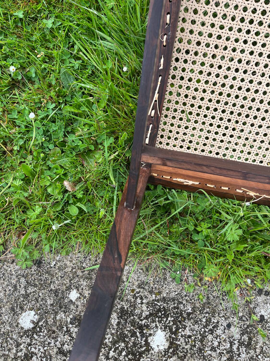 Tenreiro. Jacaranda and rosewood cane chair