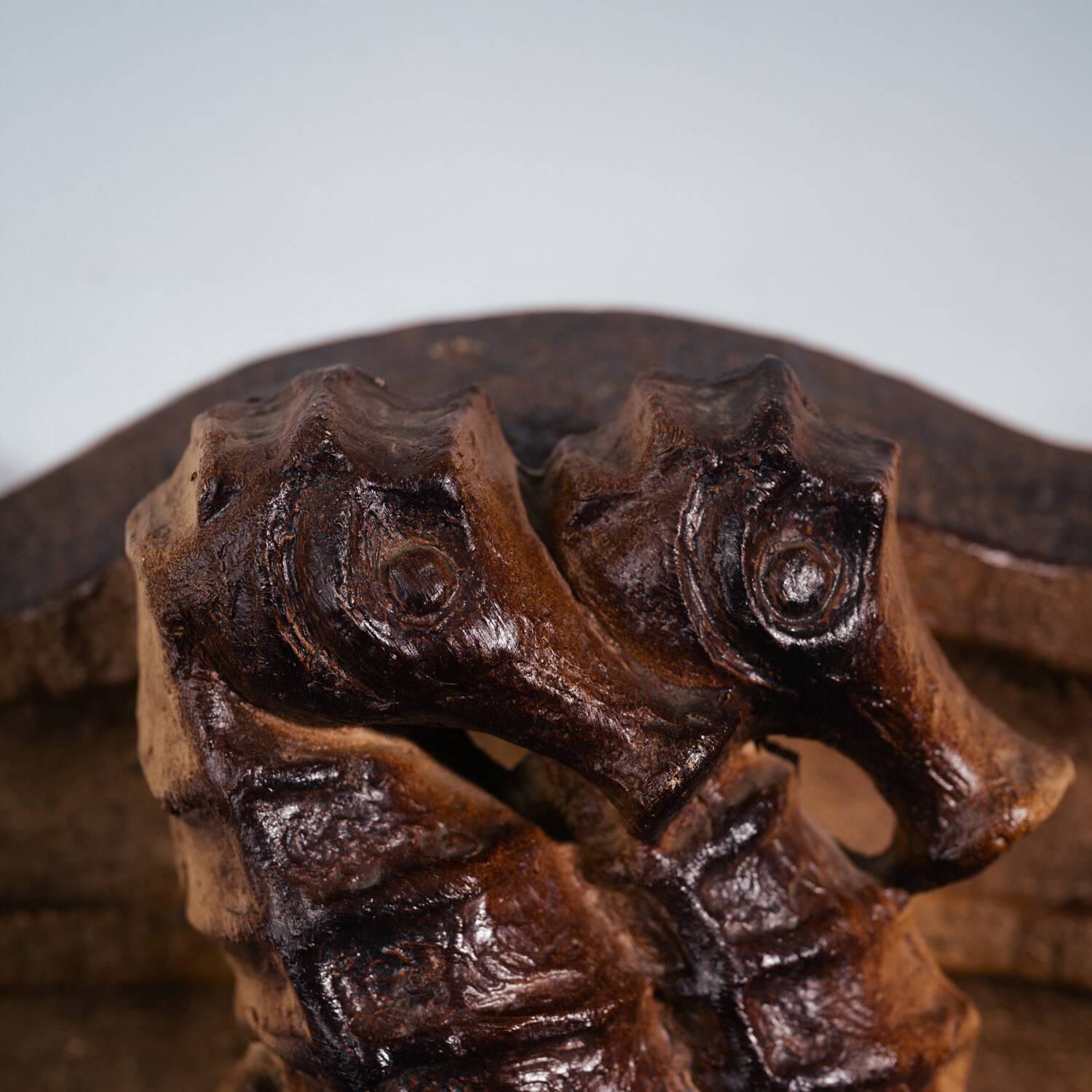 Brutalist ceramic Seahorse wall ight, 1970s