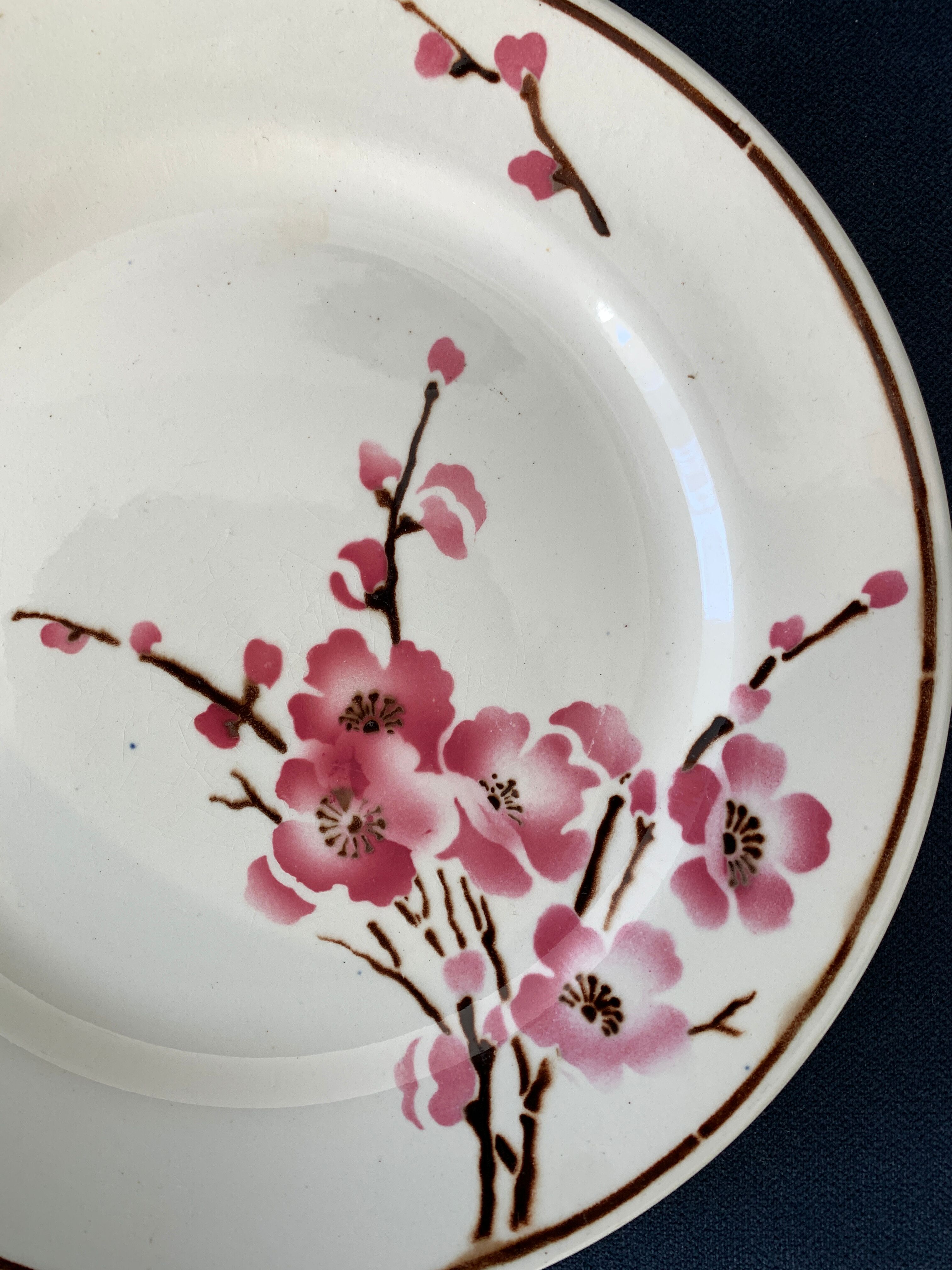 11 dessert plates Saint Amand Terre de Fer, 1930