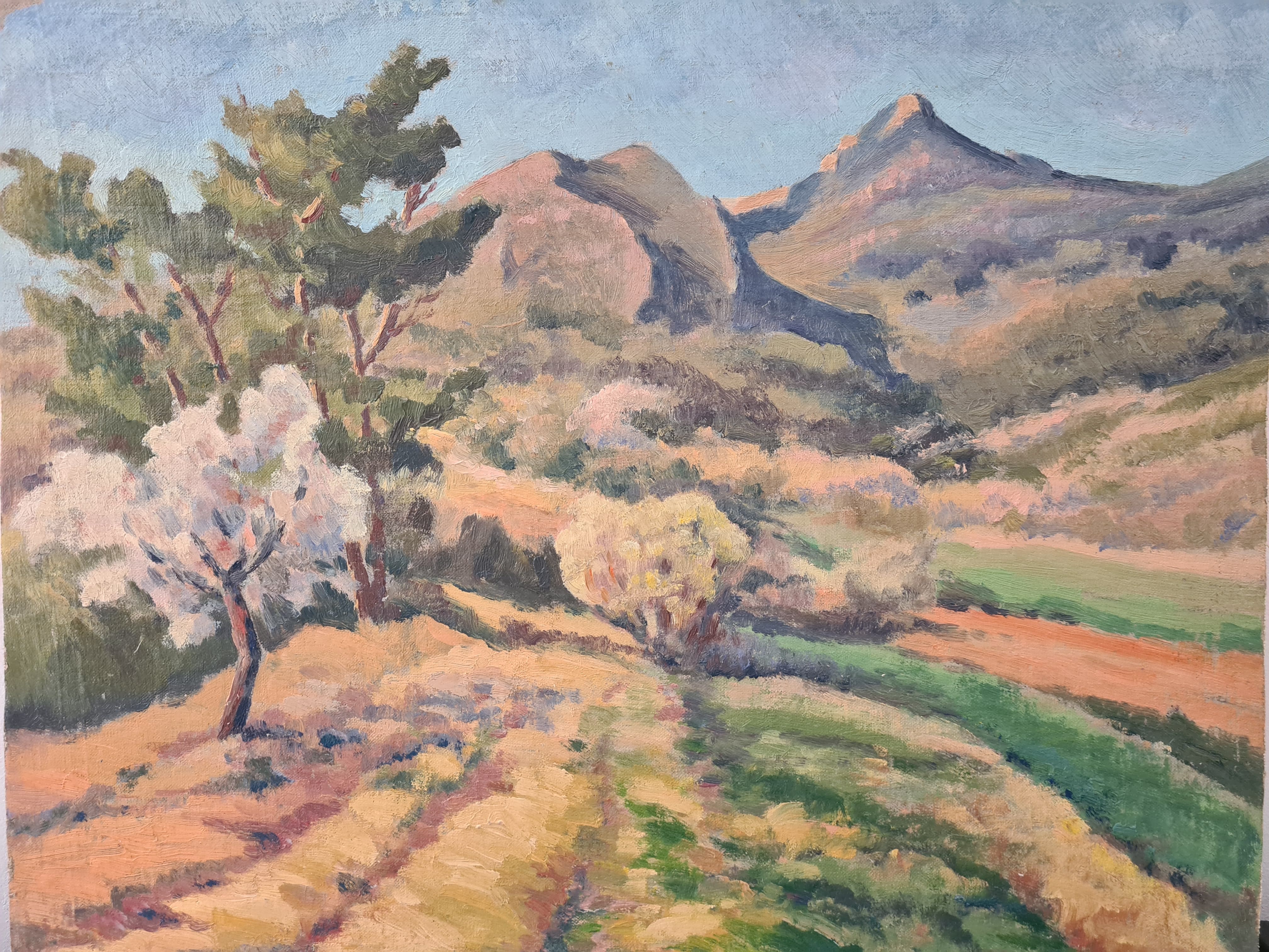 Le Garlaban - Oil on panel - 1951