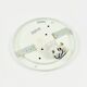 Mid Century Glass Ceiling Light From Limburg, Germany, 1960s/1970s