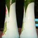 2 flowered vases St Amand early 20th century
