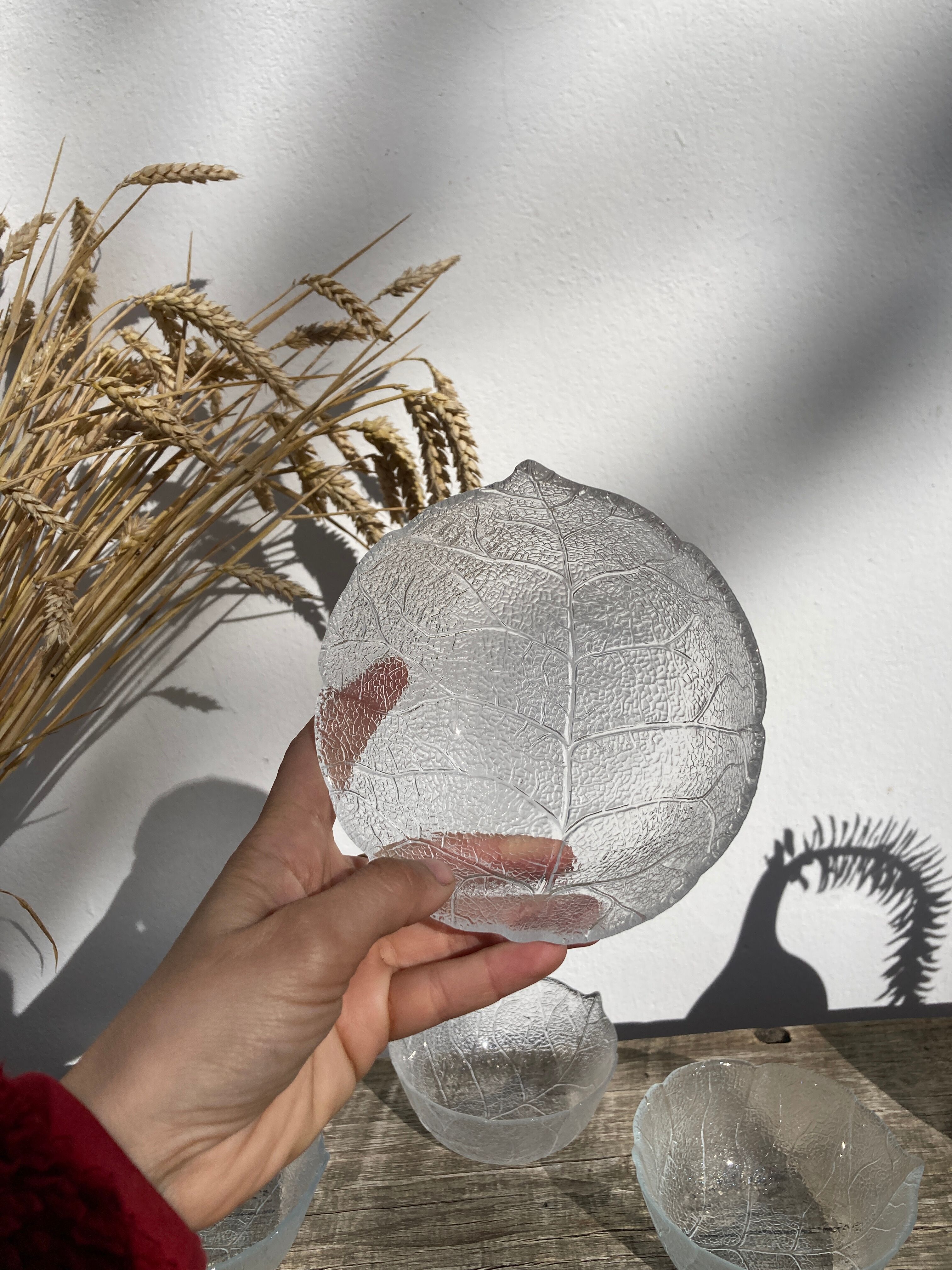 4 cups bowls transparent glass sheets