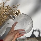 4 cups bowls transparent glass sheets