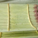 Asparagus dish in slip drainer 20th