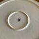 Large plate, earthenware dish of St Amand women's décor and garden