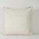 Cushion