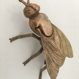 Golden ashtray fly