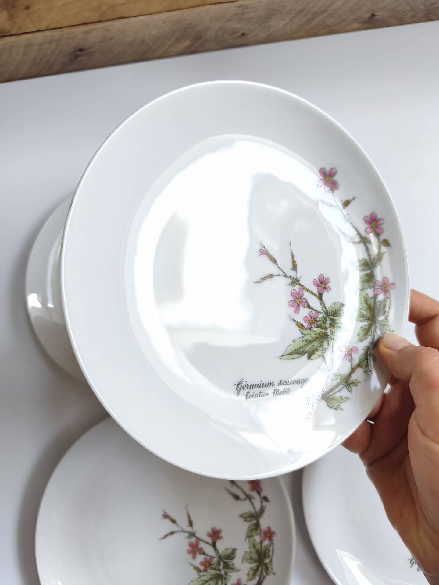 Lot de 6 assiettes à dessert de Bavière mobil décor fleurs roses