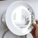 Lot de 6 assiettes à dessert de Bavière mobil décor fleurs roses