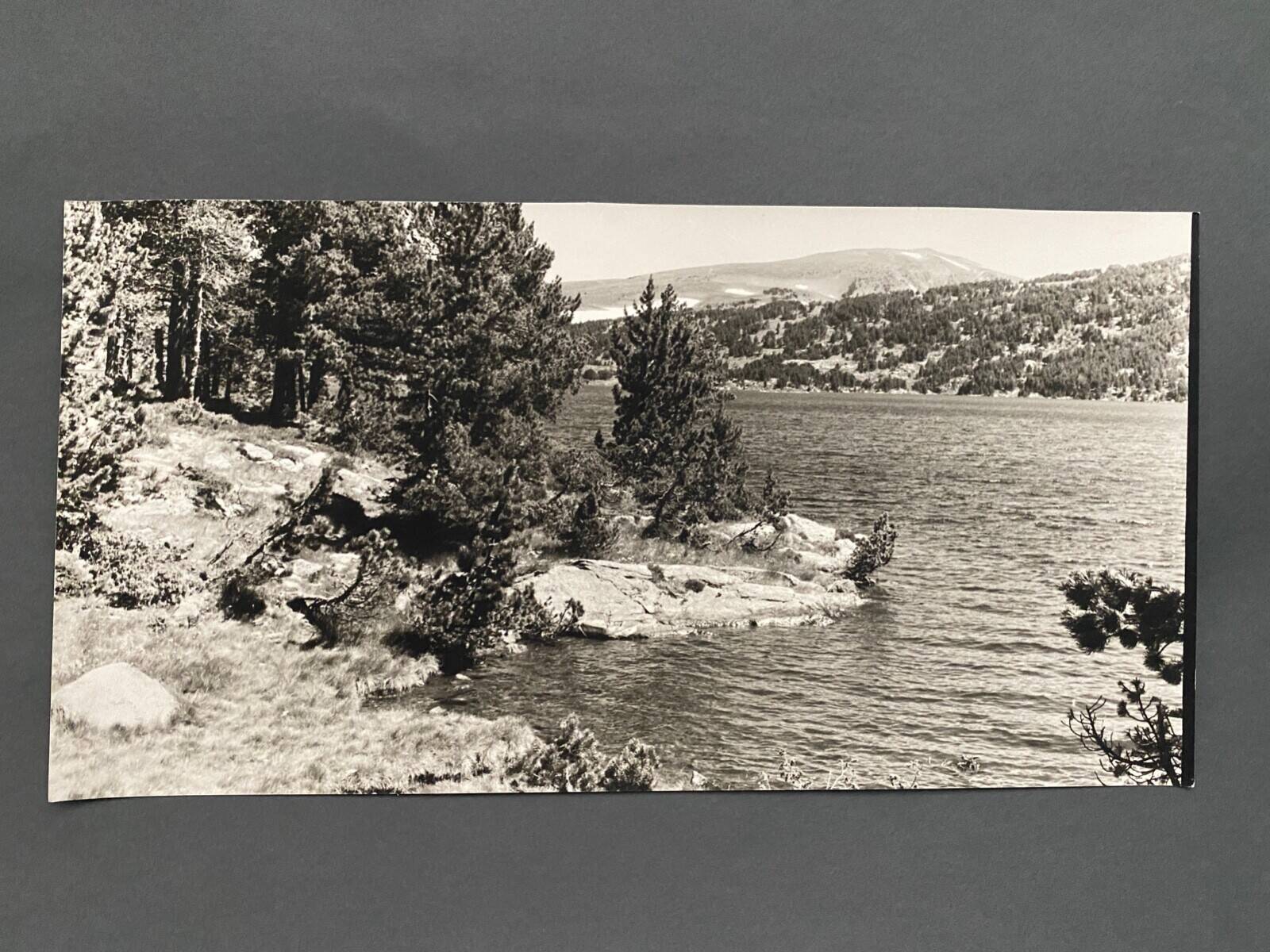 Lot de 3 photos anciennes Bernard Darot Lac Ile Sapins XXe