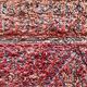 Vintage Beni Mguild rug 295x210