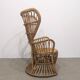 Fauteuil Peaock Rohé Noordwolde