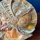 Gothic Revival plaster wall decoration Mascaron from the late 19th/early 20th century.