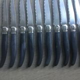 Set of 10 Laguiole Knives