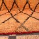 Rug 320x170cm