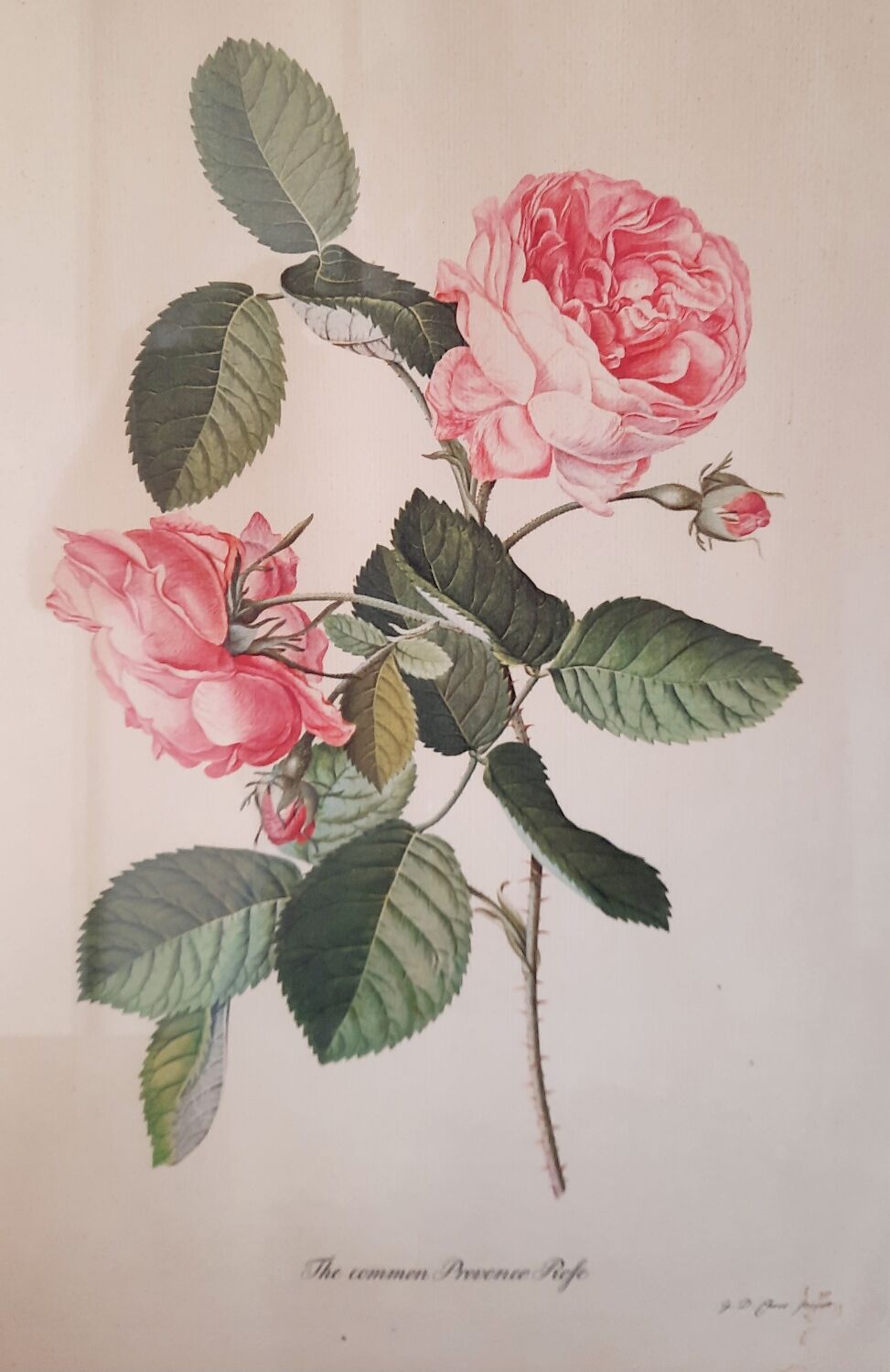 Table engraving Old flower