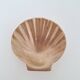 Shell-shaped brass catchall