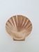 Shell-shaped brass catchall