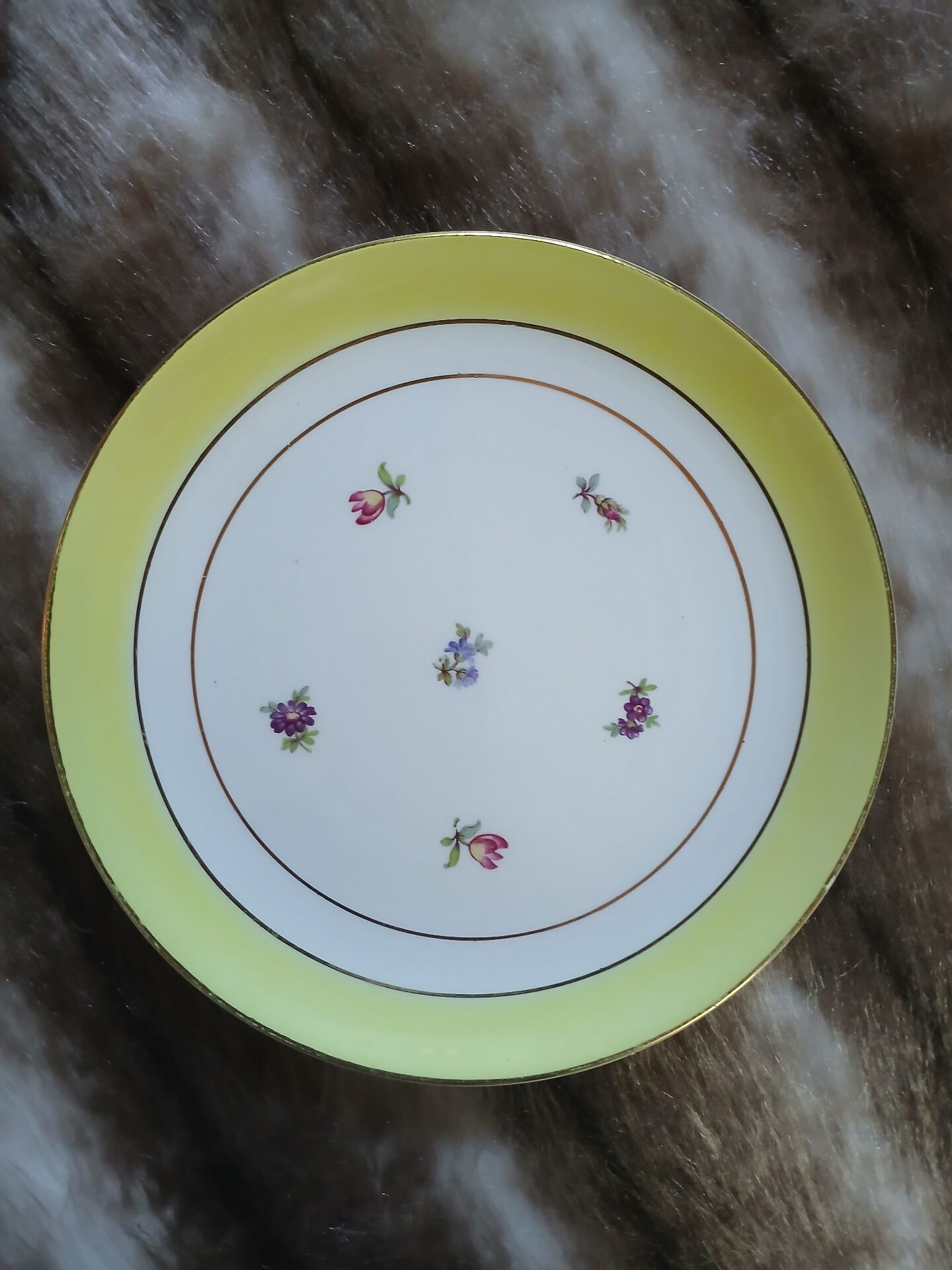 10 assiettes à dessert anciennes Gien 