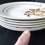 6 Assiettes plates en faïence de St Amand  Modèle 4004