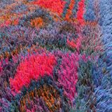 Tapis rya scandinave original par oili mäki pour finnrya oy ab, finlande