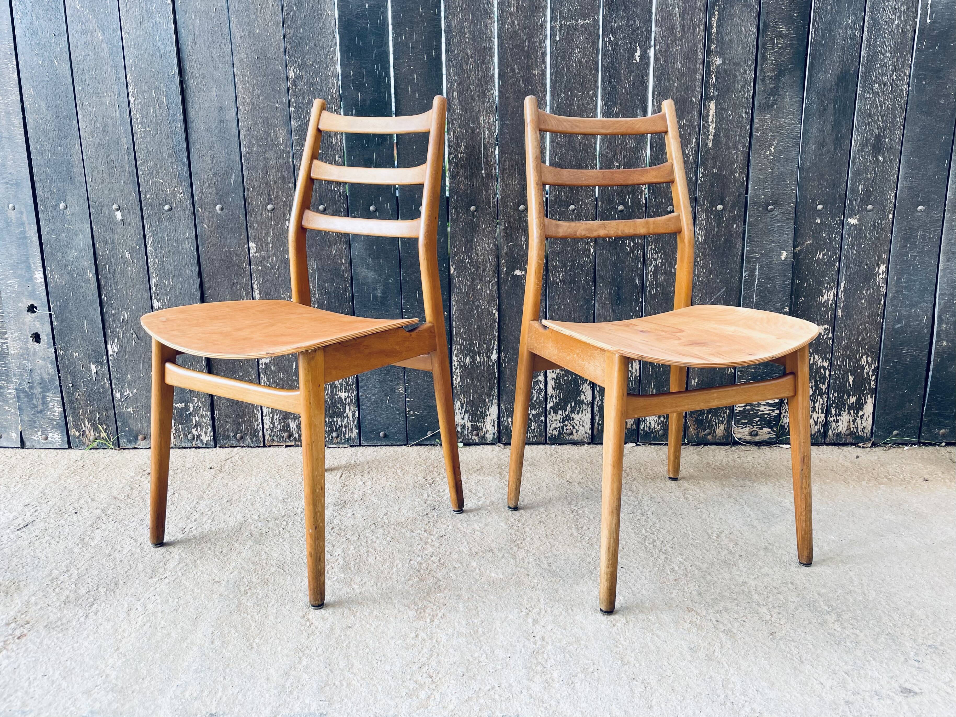 Pair of Chairs Casala Modell