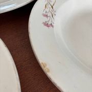 Ensemble de 6 assiettes creuses et 1 plat en terre de fer polychrome Choisy-le-Roi