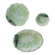 Set of 3 vintage asparagus and cabbage leaves slip dishes made in Italy