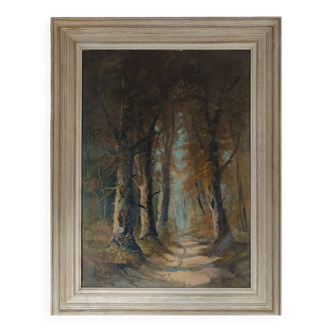 huile sur toile ancadrée XXème Chemin en sous bois