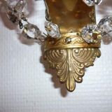 Applique à papilles