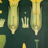 Affiche Botanique années 60