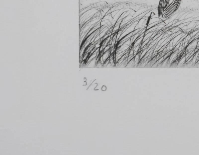 Camille combe: manes in the wind, original signed engraving