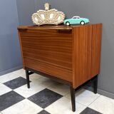 Frantisek Mezulanik cabinet in mahogany