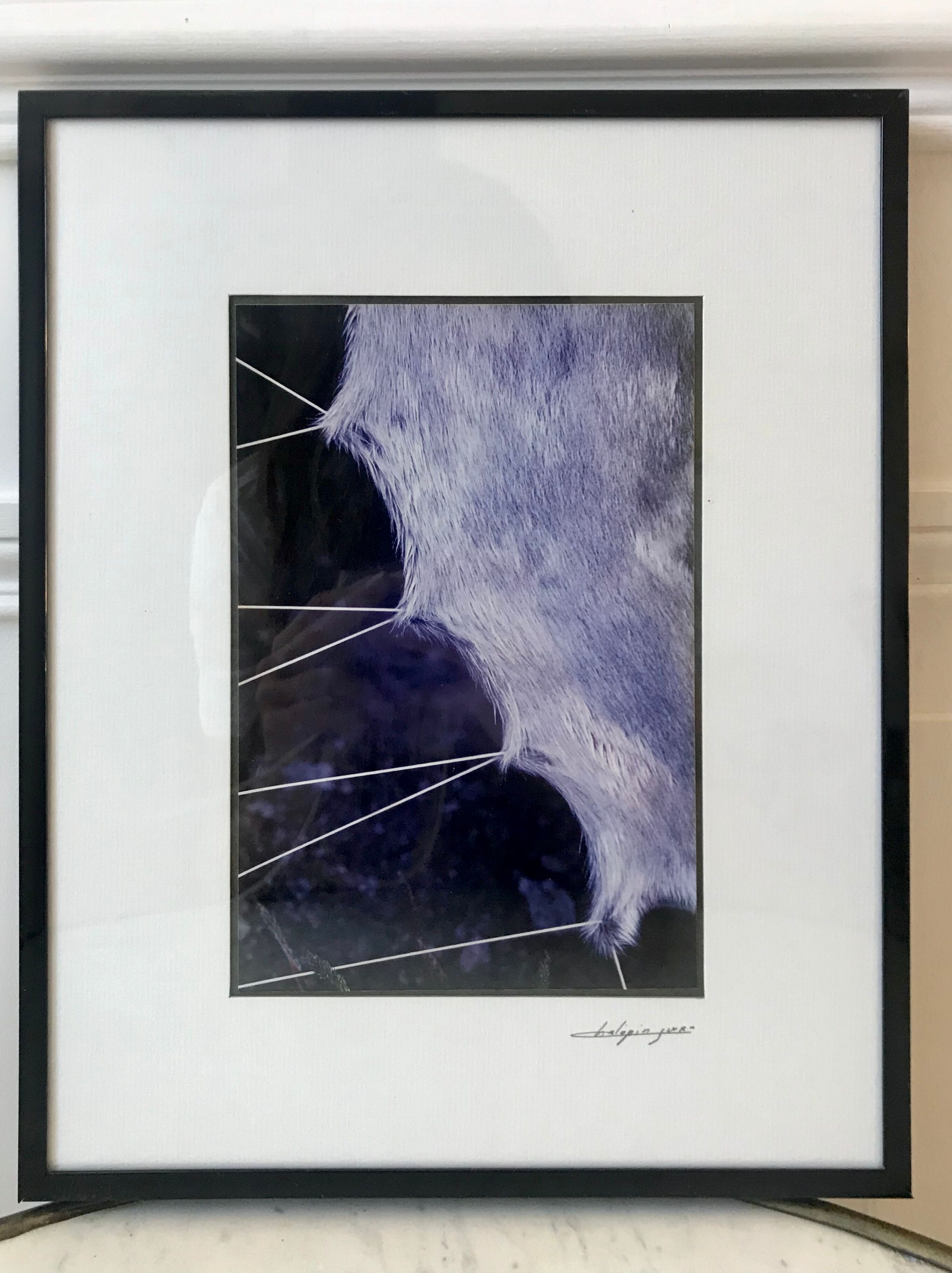 Vintage photograph illustration