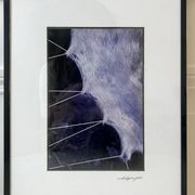 Vintage photograph illustration