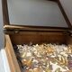 Vitrine / Collection de papillons anciens - 62 papillons