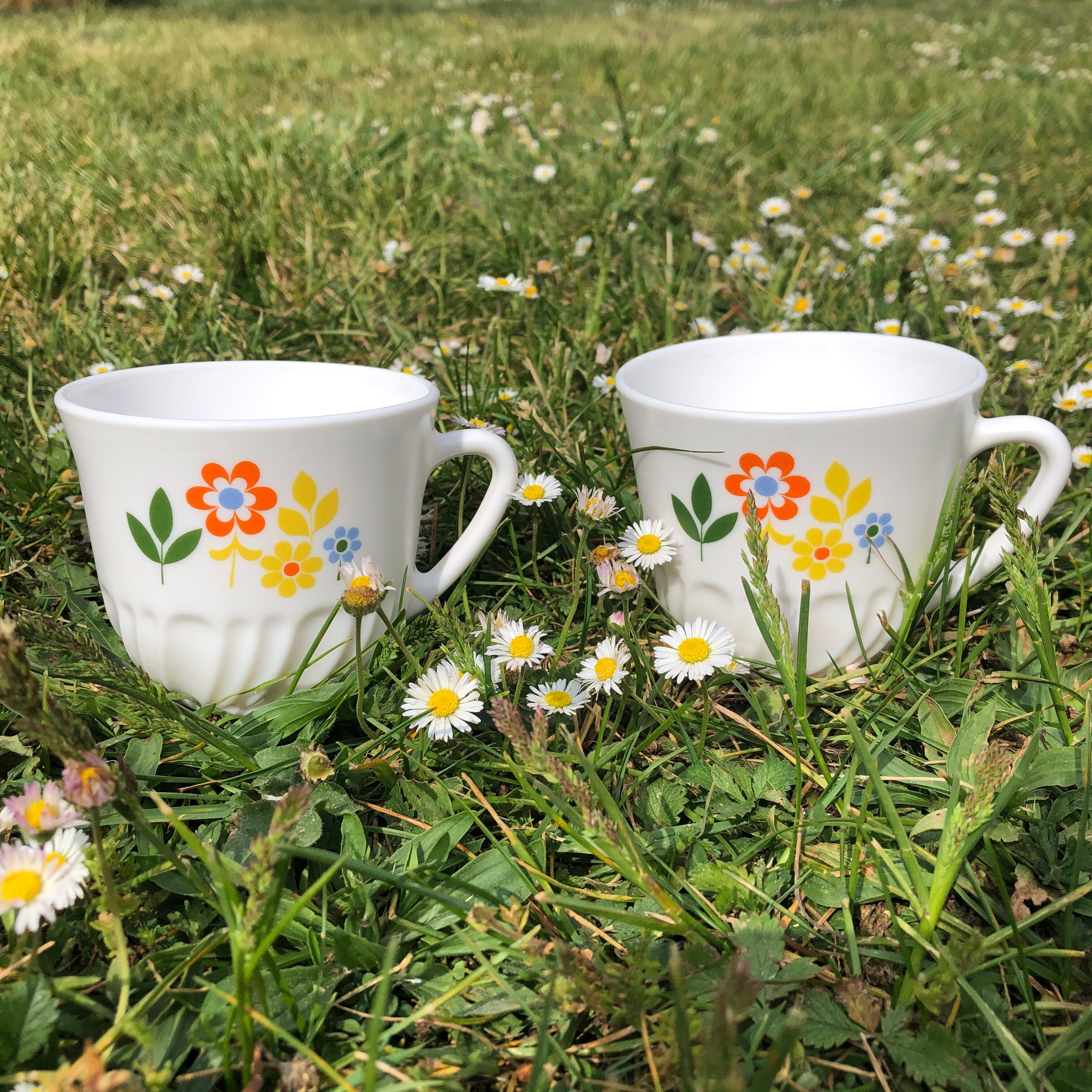 Pair of Arcopal Fleurette cups